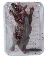 HALLOWEEN Dekorácia Gadget Mŕtva krysa na podnose
