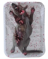 HALLOWEEN Dekorácia Gadget Mŕtva krysa na podnose HALLOWEEN Dekorácia Gadget Mŕtva krysa na podnose