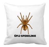 Vtipný vankúšik s PAVÚKOM, vtipný na každú príležitosť, sviatky, narodeniny Vtipný vankúšik s PAVÚKOM, vtipný na každú príležitosť, sviatky, narodeniny