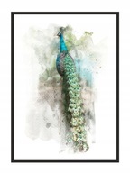 OBRAZOVÝ PLAGÁT V RÁME 53x73 cm Paw P768 OBRAZOVÝ PLAGÁT V RÁME 53x73 cm Paw P768