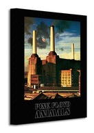 Pink Floyd Animals - Obraz na plátne 30x40 cm