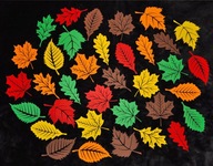 Dekorácia Autumn Leaves okenné dosky školská súprava 4m