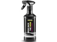 KARCHER RM 650 čistič skla 0,5L KARCHER RM 650 čistič skla 0,5L
