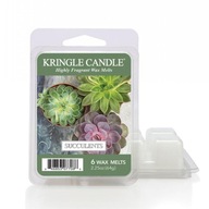 Vonný vosk Suculents Kringle Candle Vonný vosk Suculents Kringle Candle