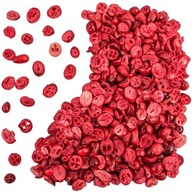 LIE BRUSNICE celé, lyofilizované, 100g akost LIE BRUSNICE celé, lyofilizované, 100g akost