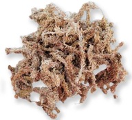 Sphagnum moss rašelinový substrát pre orchidey 100g Sphagnum moss rašelinový substrát pre orchidey 100g