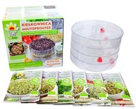 Toraf BIO set semien na klíčky + nakličovací box Toraf BIO set semien na klíčky + nakličovací box