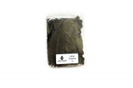 Deep Aqua Autumn Walnut Leaves 1L