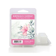 Vonný vosk Botanicals Kringle Candle Vonný vosk Botanicals Kringle Candle