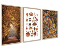 Plagáty Obrazy Autumn Leaves Park Forest Road 40x50cm Triptych na stenu Plagáty Obrazy Autumn Leaves Park Forest Road 40x50cm Triptych na stenu