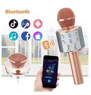 Bezdrôtový mikrofón Karaoke Bluetooth reproduktor