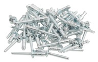 Slepé nity 6,4x12,5 mm HARDLOCK OCEL/OCEL 50 ks Slepé nity 6,4x12,5 mm HARDLOCK OCEL/OCEL 50 ks