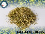 Alfalfa plevy olejované bylinkami 12,5 kg HS