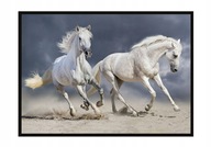 OBRAZOVÝ PLAGÁT V RÁME 43x33 cm Kone P898 OBRAZOVÝ PLAGÁT V RÁME 43x33 cm Kone P898