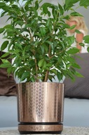 Klasický elegantný kvetináč so vzorom Art deco 26 Klasický elegantný kvetináč so vzorom Art deco 26