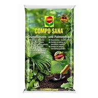 COMPO SANA Substrát pre zelené rastliny a palmy 10l COMPO SANA Substrát pre zelené rastliny a palmy 10l