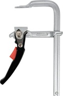 OCEĽOVÁ RACHTAČNÁ SVORKA 200 X 100 MM PÁS TYPU F OCEĽOVÁ RACHTAČNÁ SVORKA 200 X 100 MM PÁS TYPU F