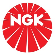 Zapaľovacia sviečka NGK IMR9C-9HES 5766 Zapaľovacia sviečka NGK IMR9C-9HES 5766