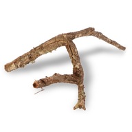 AKVÁRIOVÉ DEKORÁCIE DUB KORKOVÝ 60CM AKVÁRIOVÉ DEKORÁCIE DUB KORKOVÝ 60CM