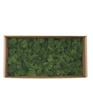 Moss Beautiful Naturally Dark Green 500g sieťka Moss Beautiful Naturally Dark Green 500g sieťka