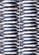 OKRAJ PAPIERA VAFLA 14,7CM RYBA RYBA 83CM OKRAJ PAPIERA VAFLA 14,7CM RYBA RYBA 83CM