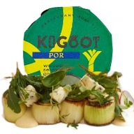 Pór v syrovej omáčke Gorgonzola a biele víno VEGE Pór v syrovej omáčke Gorgonzola a biele víno VEGE