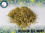 Alfalfa plevy olejované mätou 12,5 kg