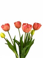 KYTICA TULIPÁNOV 7 POGUMOVÝCH TULIPÁN TMAVÝ RUŽOVÝ KYTICA TULIPÁNOV 7 POGUMOVÝCH TULIPÁN TMAVÝ RUŽOVÝ