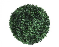 Buxusová guľa, buxus, dve polovice, 25 cm Buxusová guľa, buxus, dve polovice, 25 cm
