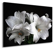 Biele ľalie na čiernom podklade Obraz na plátne 80x60 cm Biele ľalie na čiernom podklade Obraz na plátne 80x60 cm