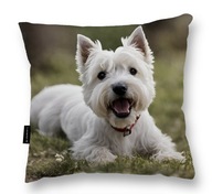 WESTIE PSI PILLOW westiem 40x40 darček WEST highland teriér na spanie WESTIE PSI PILLOW westiem 40x40 darček WEST highland teriér na spanie