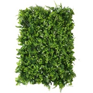 ZELENÁ BOXWOOD STENA OBÝVACIA STENA ŽIVÝ PLOT XL ZELENÁ BOXWOOD STENA OBÝVACIA STENA ŽIVÝ PLOT XL