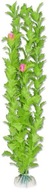 ZELENÁ UMELÁ RASTLINA DO AKVÁRIA 40CM ZELENÁ UMELÁ RASTLINA DO AKVÁRIA 40CM