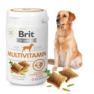 BRIT VITAMINS MULTIVITAMÍNOVÝ VITAMÍNOVÝ POKLAD PRE PSY PRE IMUNITU 150g BRIT VITAMINS MULTIVITAMÍNOVÝ VITAMÍNOVÝ POKLAD PRE PSY PRE IMUNITU 150g