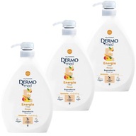 DERMOMED Sprchový gél s pumpičkou MANGO, 3 x 1000 ml DERMOMED Sprchový gél s pumpičkou MANGO, 3 x 1000 ml