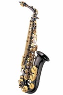 J. MICHAEL AL-800BL ALTO SAXOPHONE s puzdrom