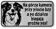 Border Collie Dog Pozornosť Sign Border Collie Dog Pozornosť Sign