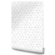 Tapeta do Predsiene, GEOMETRICKÝ VZOR Tapeta do Predsiene, GEOMETRICKÝ VZOR