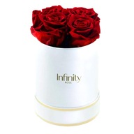 Flower Box TRUE natural ETERNAL ROSE vonia