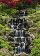 Fototapeta Forest Waterfall na stenu 183x254 cm