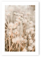 Boho grass béžový plagát A1 59,4x84,1 cm #20D Boho grass béžový plagát A1 59,4x84,1 cm #20D