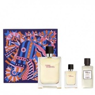 HERMES Terre D'Hermes EDT 100ml + SG 80ml + ASL