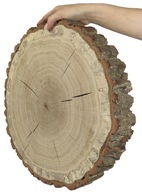 Plátok dubového dreva s hrúbkou 35-40 cm. 6 cm Rezaná kôra