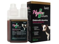 HydroCeum 500ML ScanVet NA HNAČKU U TELÍC HydroCeum 500ML ScanVet NA HNAČKU U TELÍC