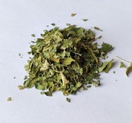 Moringa moringa list Oleifera - 500g - Dary Podlasie
