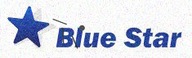 Batéria Blue Star Premium pre Samsung i535 T999V