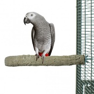 ParrotPlanet Toys- bidielko pre papagáje