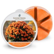Vosk s vôňou Blooming Harvest Goose Creek Candle Vosk s vôňou Blooming Harvest Goose Creek Candle