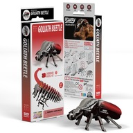 Goliáš Eugy chrobák. Ekologické 3D puzzle Goliáš Eugy chrobák. Ekologické 3D puzzle