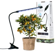 Lampa na rast rastlín Platinet Led Grow Lamp 3W 1300K 60Lm 24xLED 3 režimy Lampa na rast rastlín Platinet Led Grow Lamp 3W 1300K 60Lm 24xLED 3 režimy
